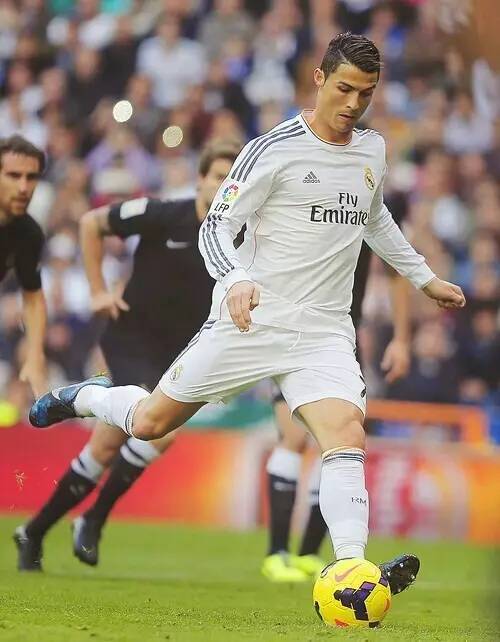 其实隐藏了 其实隐藏了