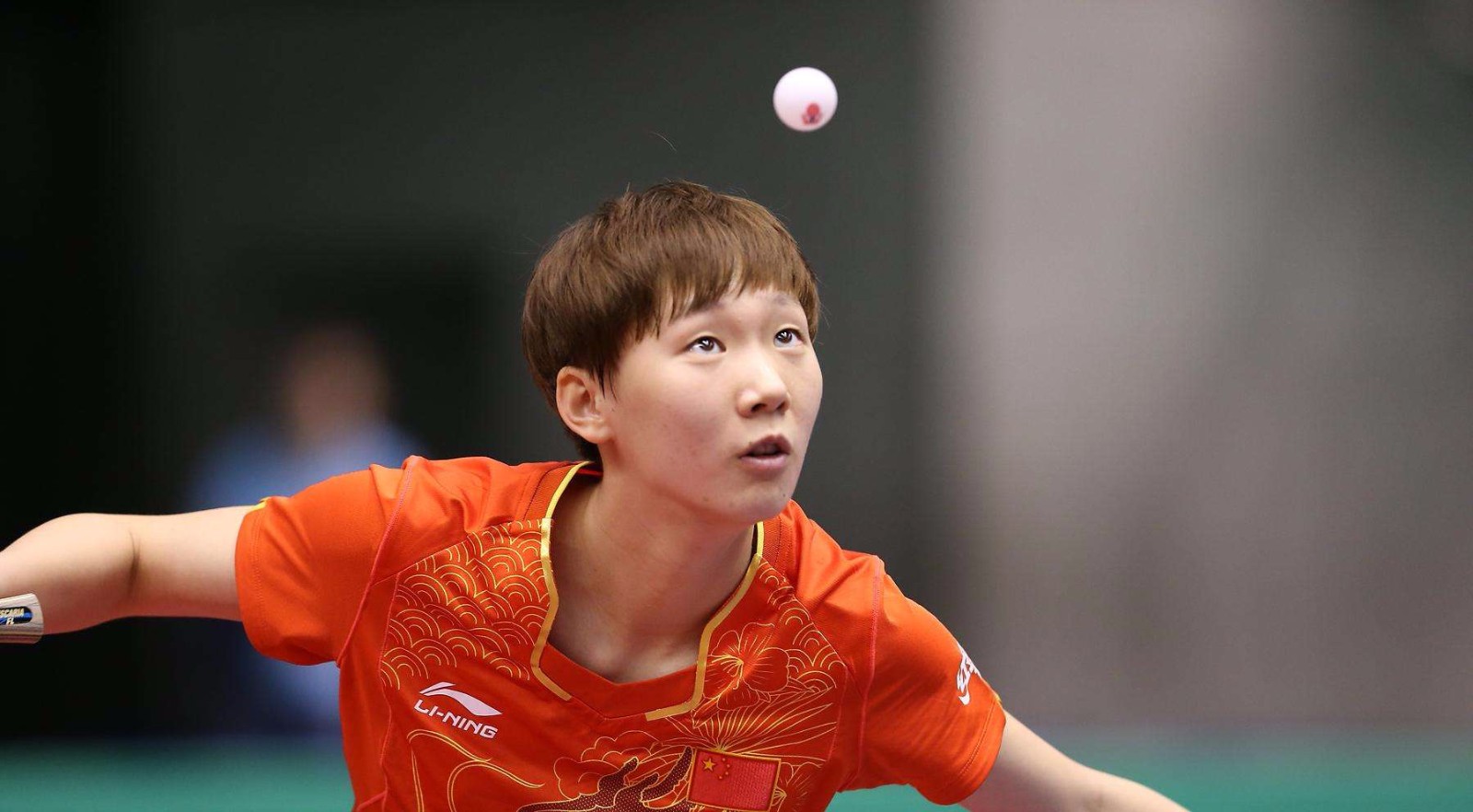 我们的关注 我们的关注