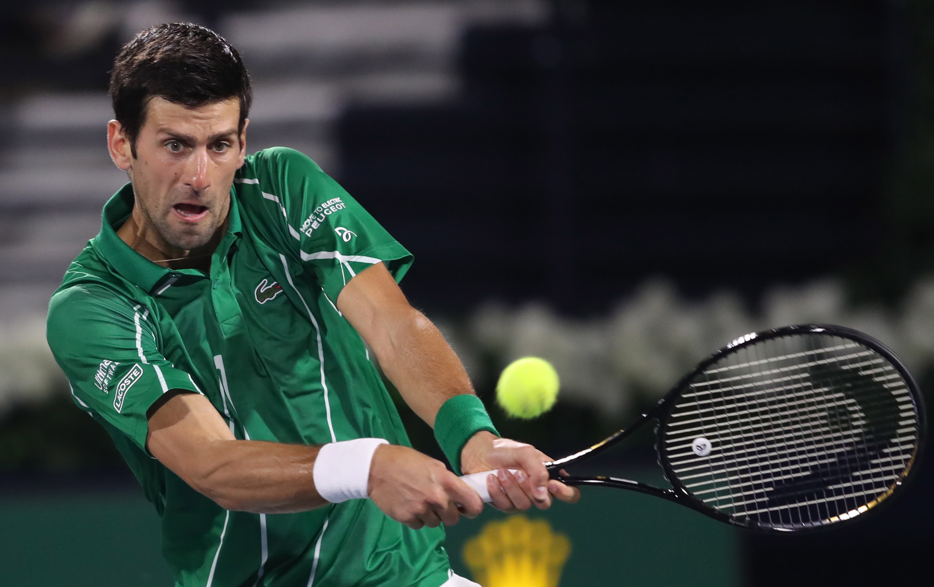 身体天赋与 身体天赋与