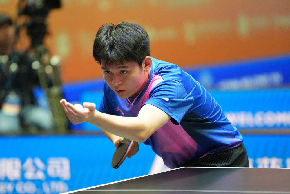 的反馈机制 的反馈机制