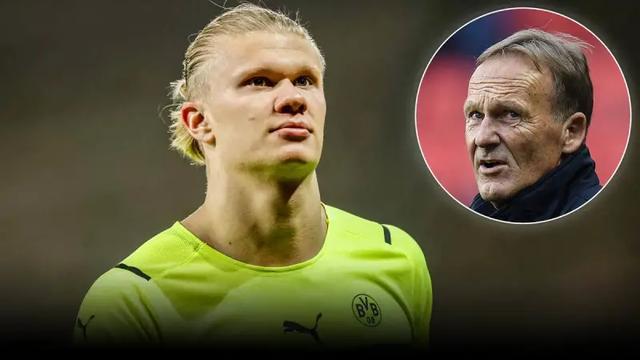 麻将训练我 麻将训练我